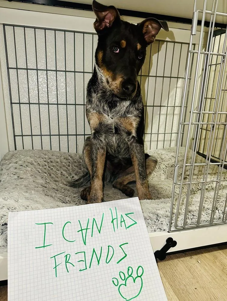 Bryant Aka Onyx thumbnail 4