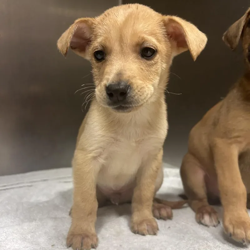 Butter Bts Remix thumbnail 4