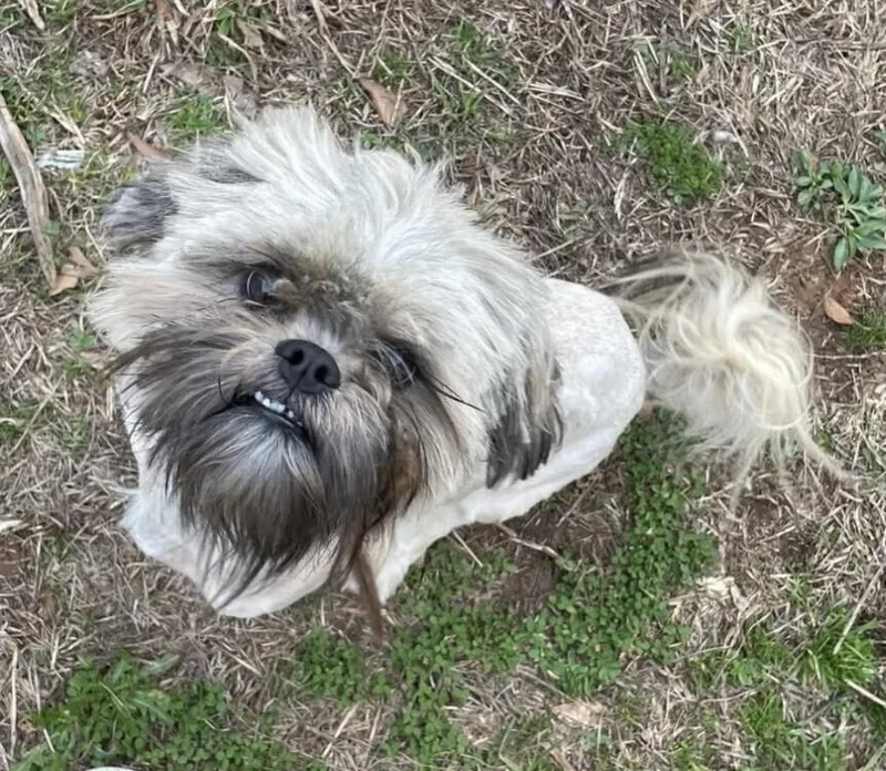 Dennis  Not Accepting