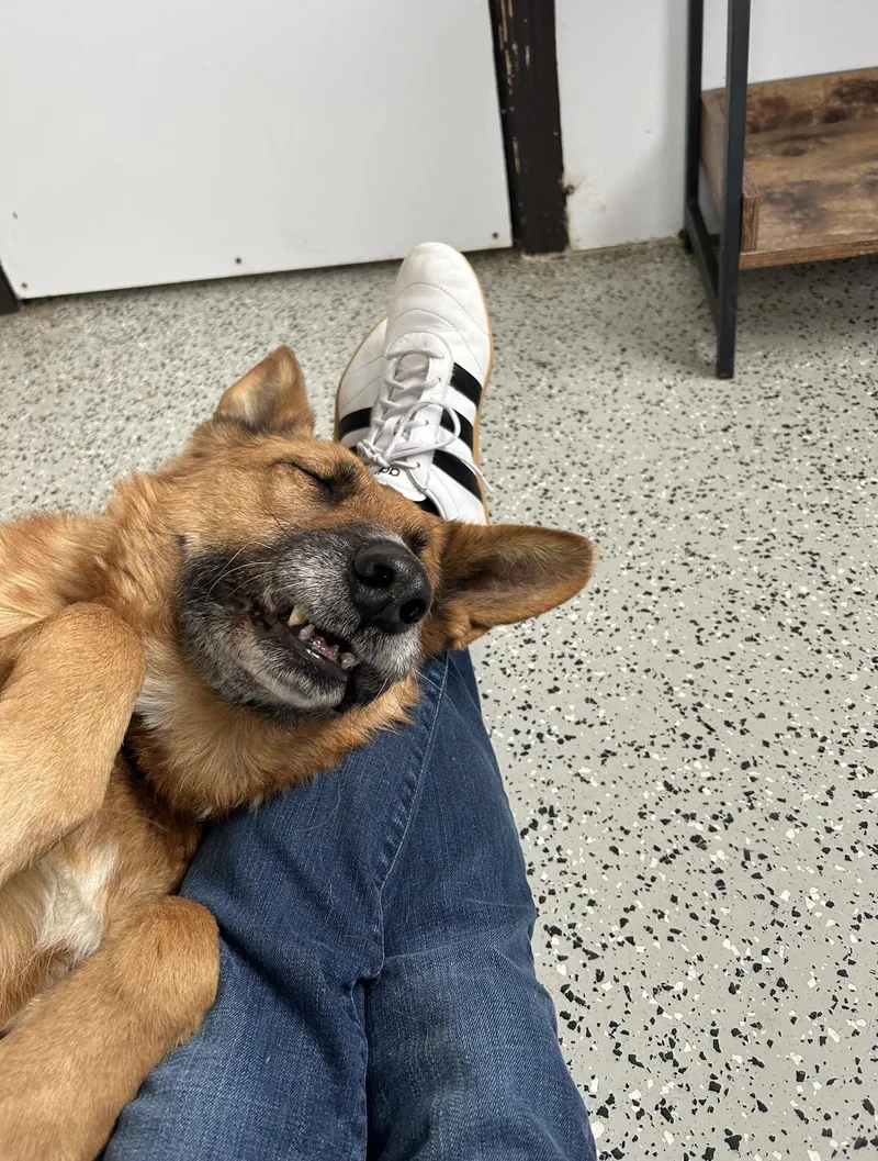 Princesa thumbnail 2