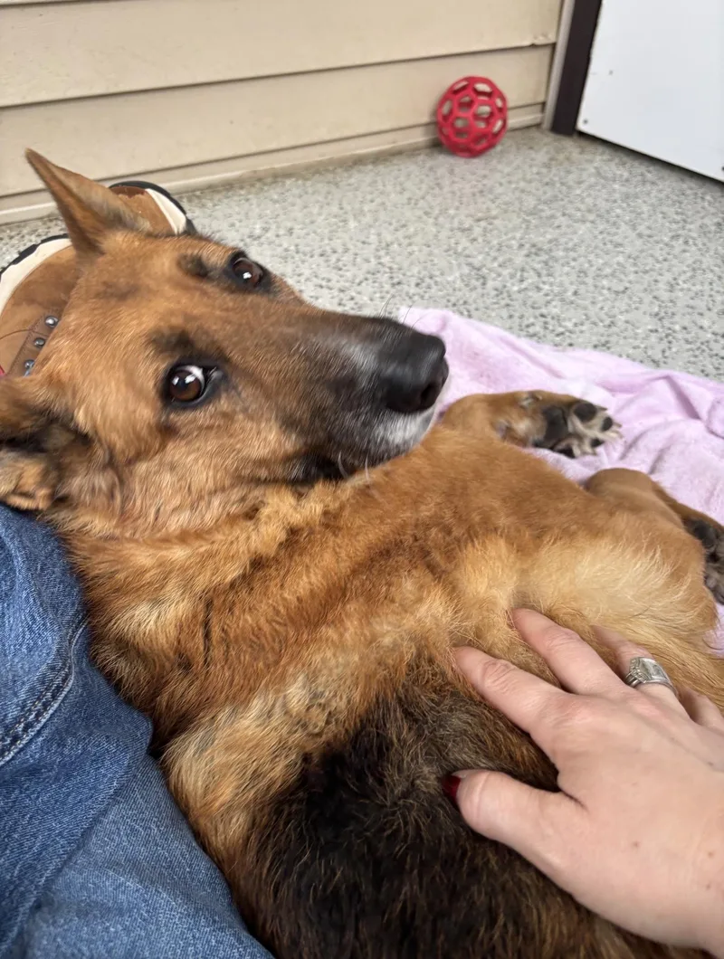 Princesa thumbnail 3