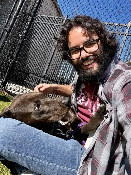 Something  Frogs thumbnail 2