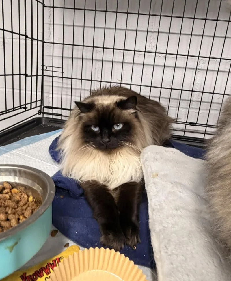 Ivori & Willow thumbnail 2