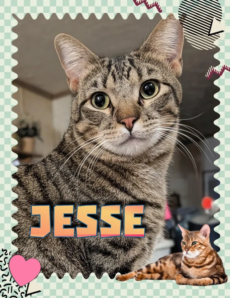 Jesse