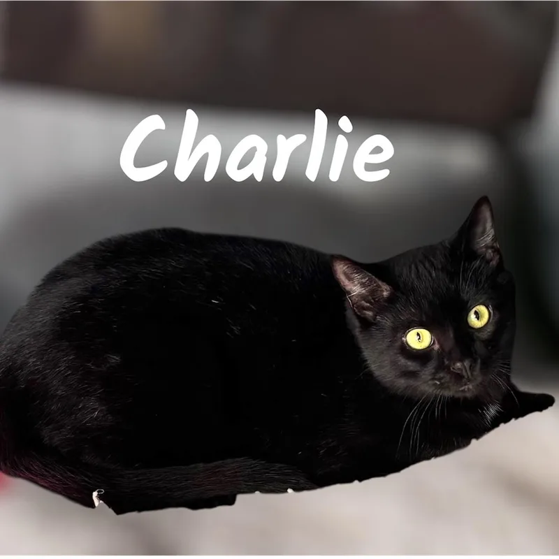 Charlie