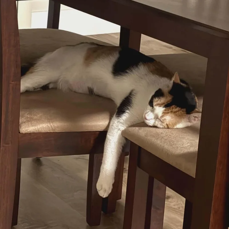 Kaytay J. thumbnail 2