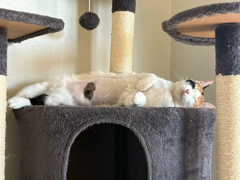 Kaytay J. thumbnail 3