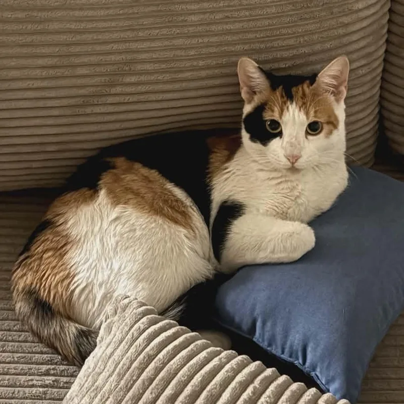 Kaytay J. thumbnail 4