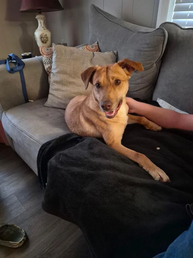 Van Jackson thumbnail 2