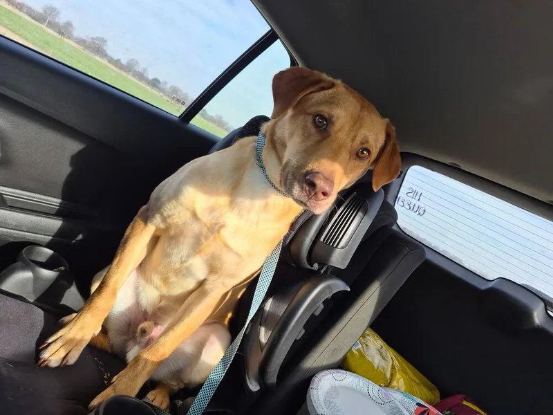 Van Jackson thumbnail 4