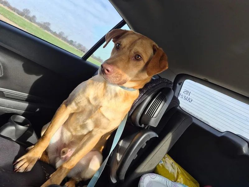 Van Jackson thumbnail 5