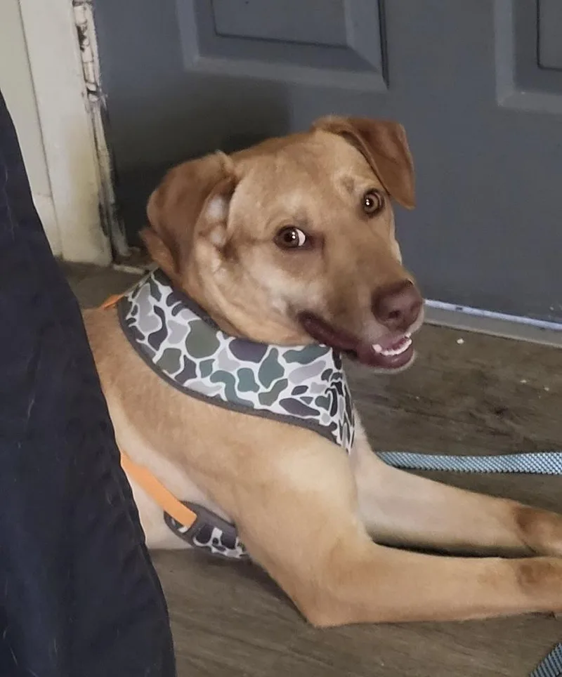 Van Jackson thumbnail 6