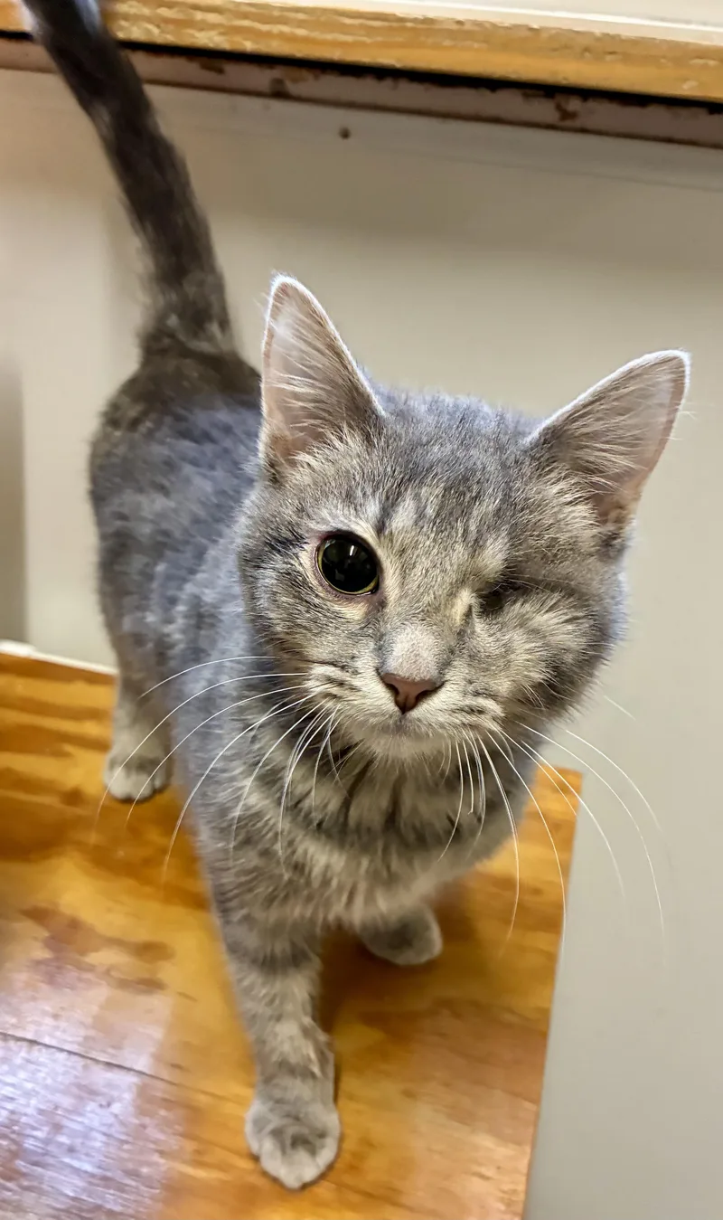 Huffnpuff thumbnail 2