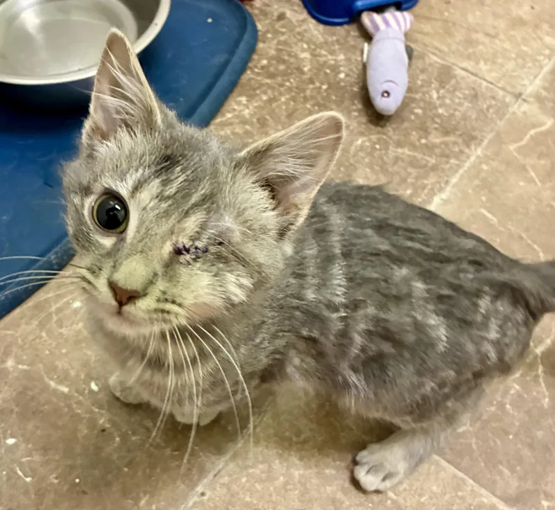 Huffnpuff thumbnail 3