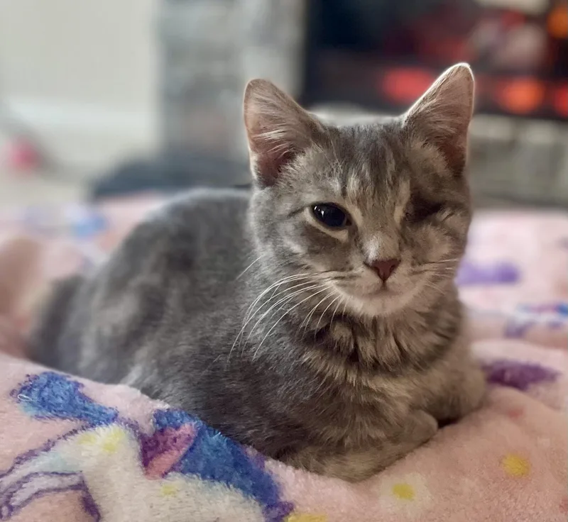 Huffnpuff thumbnail 4