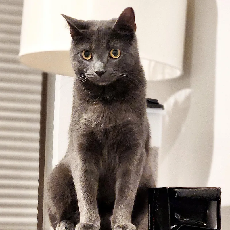 Ladybeautiful & Sweet thumbnail 2