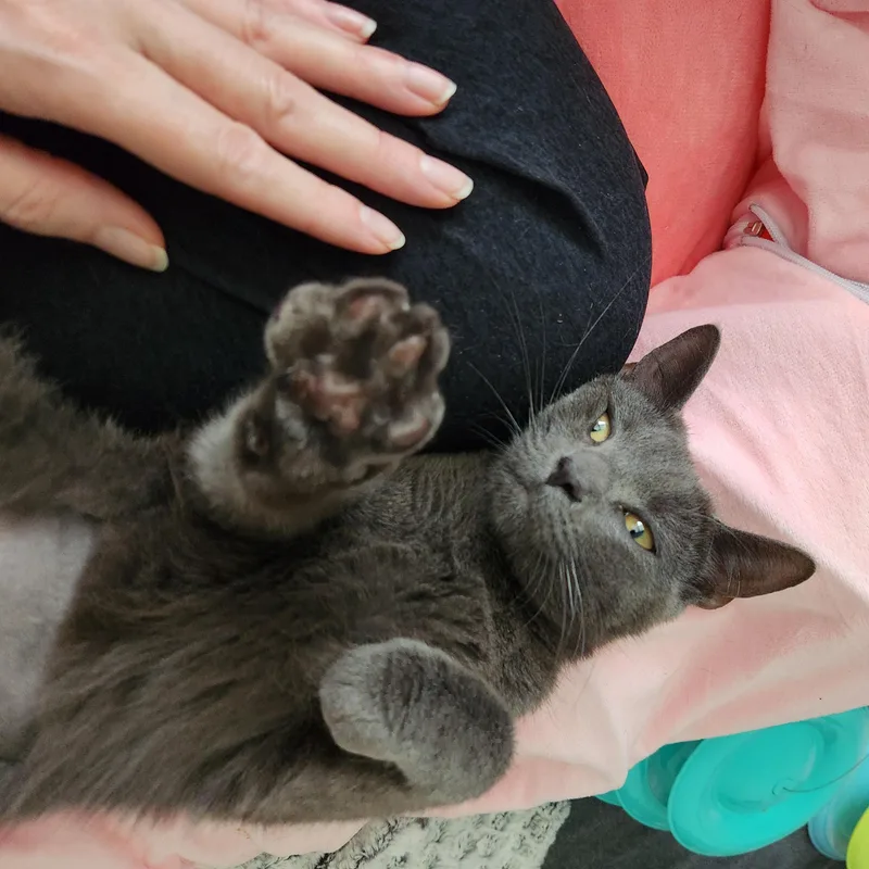 Ladybeautiful & Sweet thumbnail 3