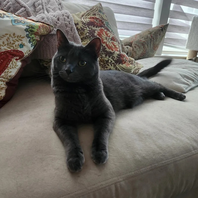 Ladybeautiful & Sweet thumbnail 4