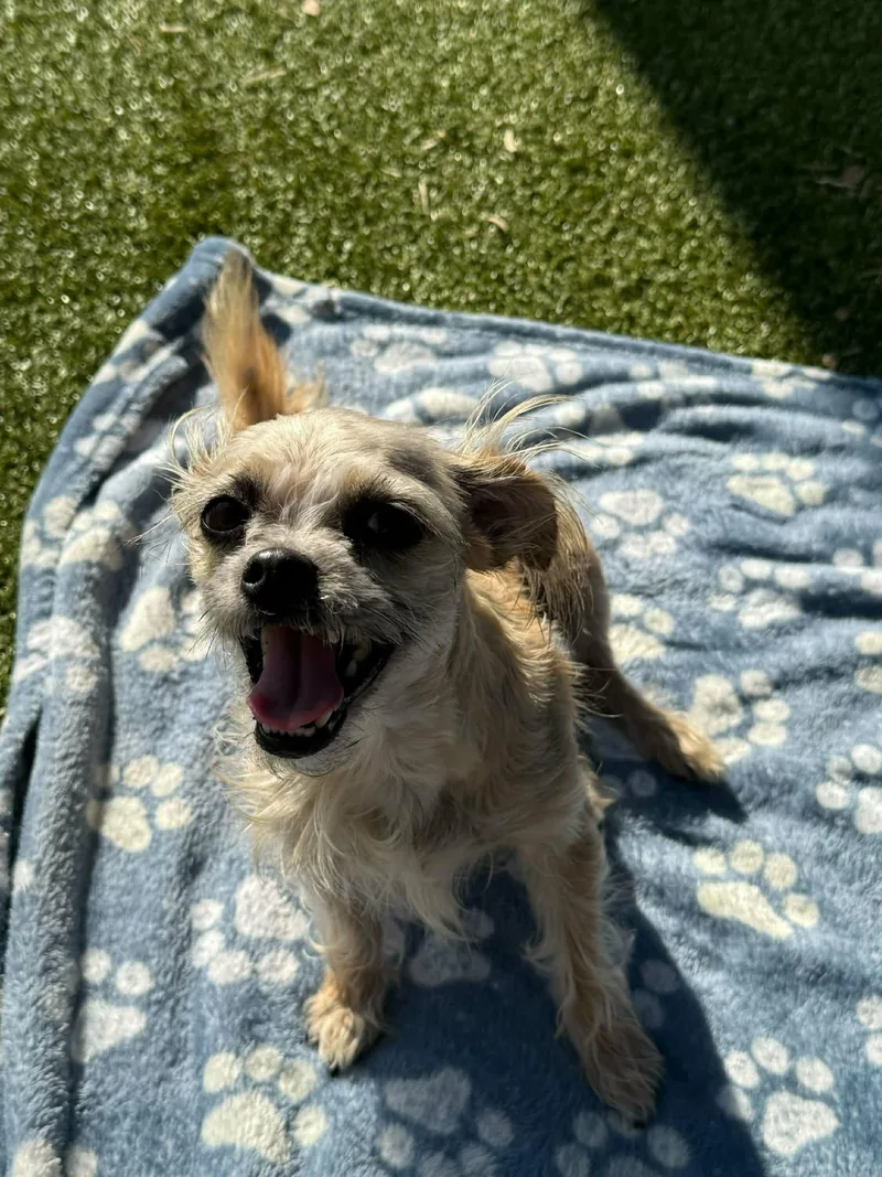 Sparkles thumbnail 2