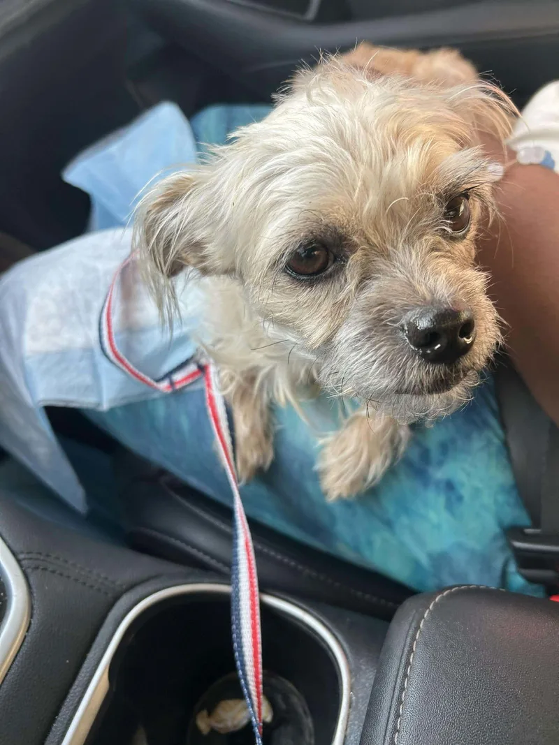 Sparkles thumbnail 3