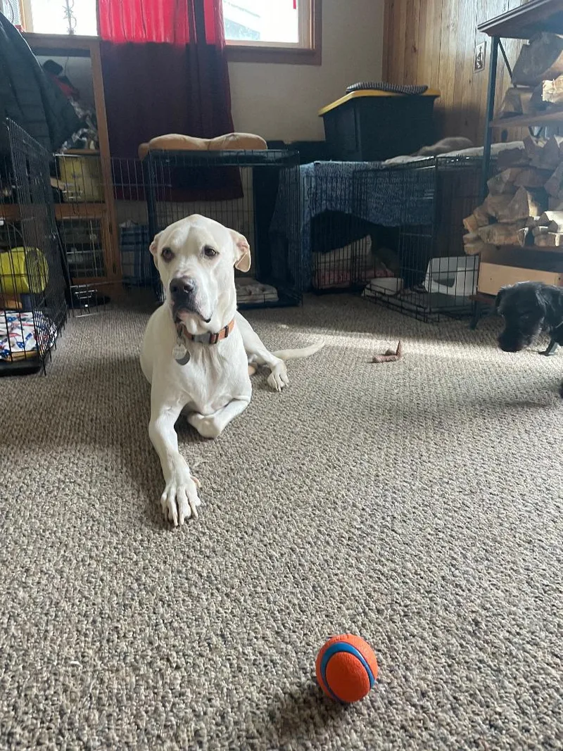 Stan Lee   thumbnail 2