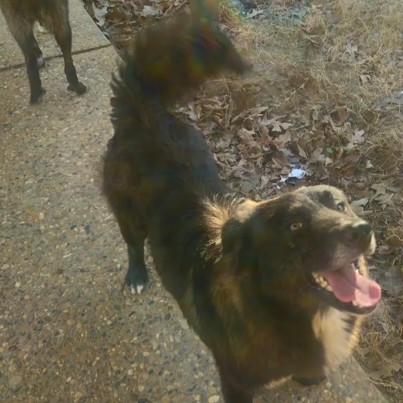 Jefferson thumbnail 2