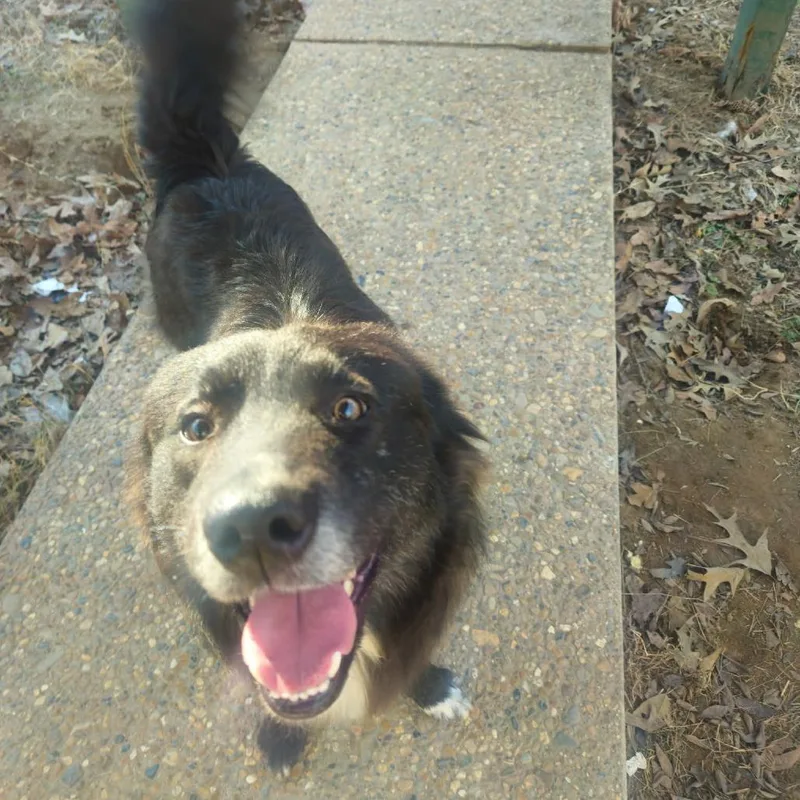 Jefferson thumbnail 4