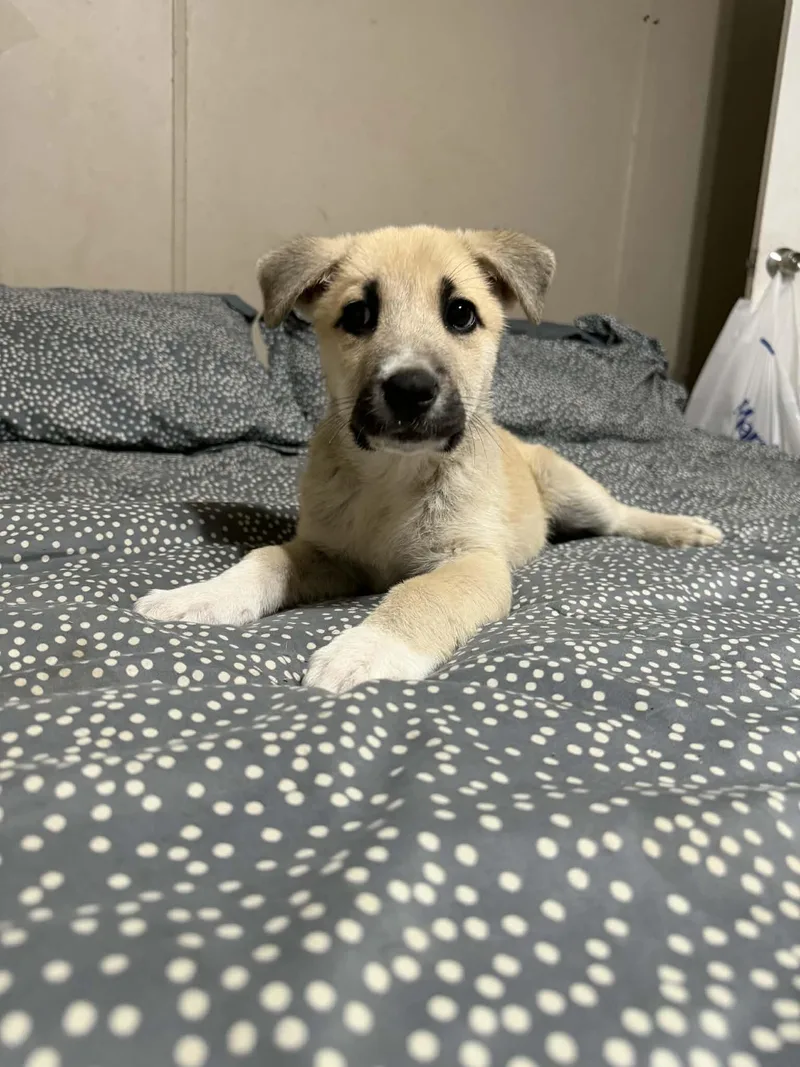 Charlotte thumbnail 2