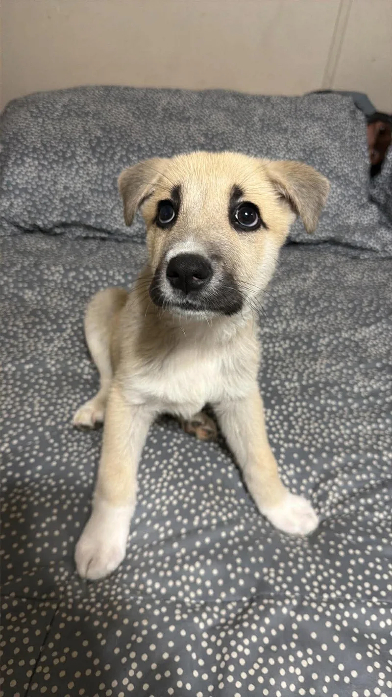 Charlotte thumbnail 3