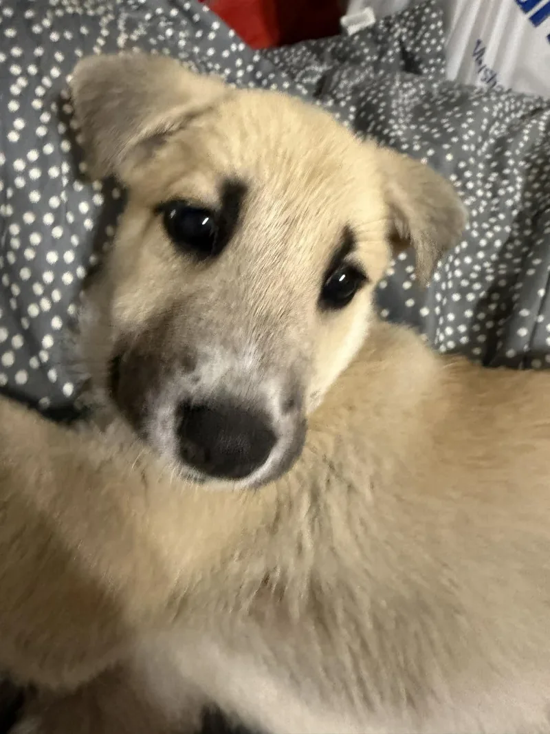 Charlotte thumbnail 4