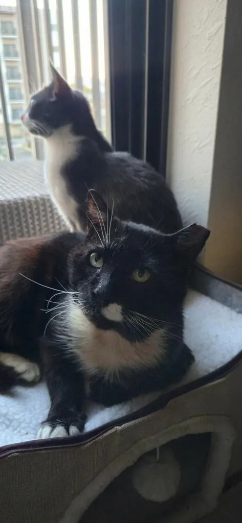 Hercules thumbnail 2