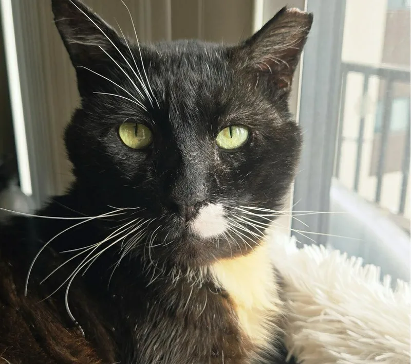 Hercules thumbnail 3