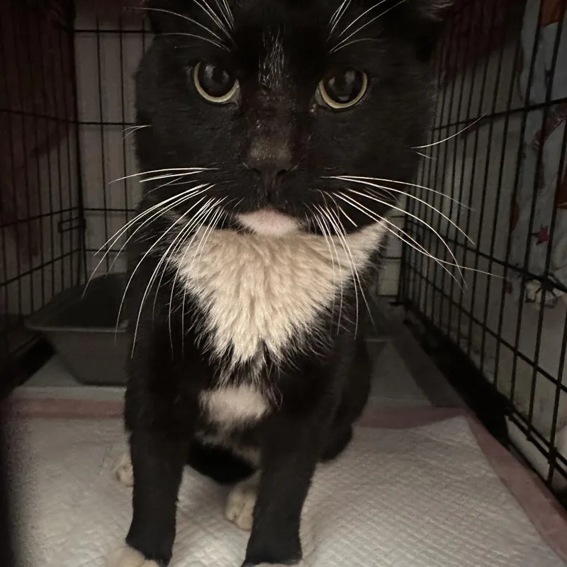 Lucky Day thumbnail 2