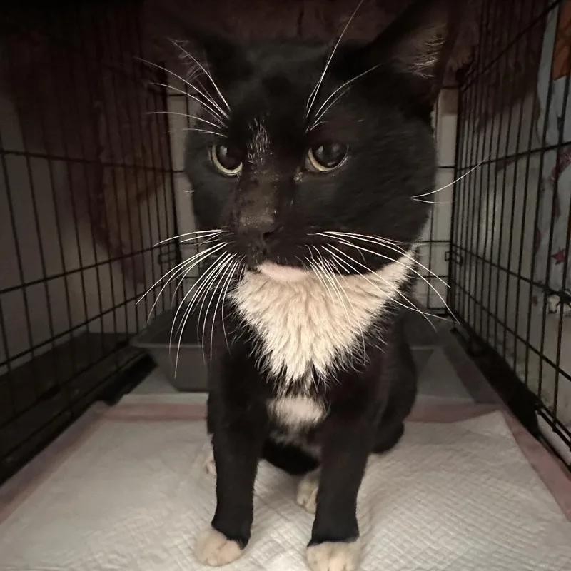 Lucky Day thumbnail 3