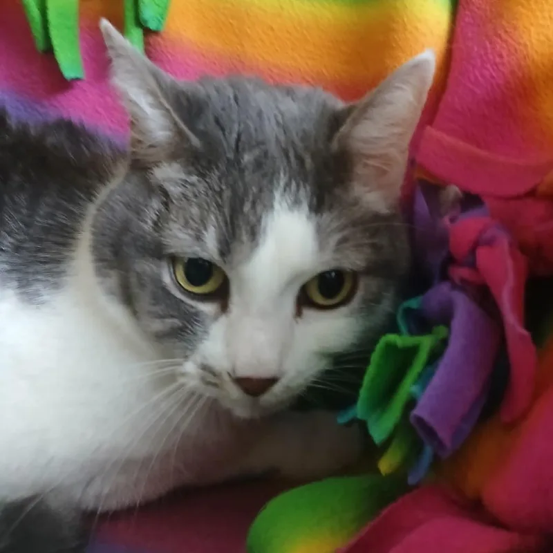 Lil Miss thumbnail 4