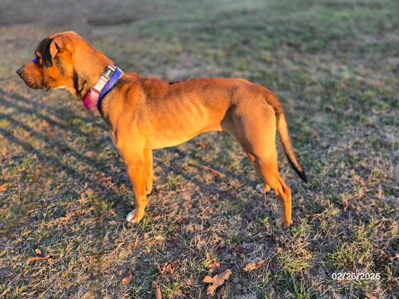 Scoobydoo thumbnail 2