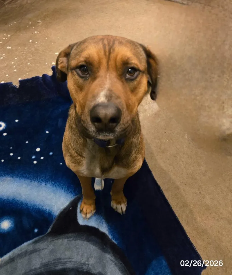 Scoobydoo thumbnail 4