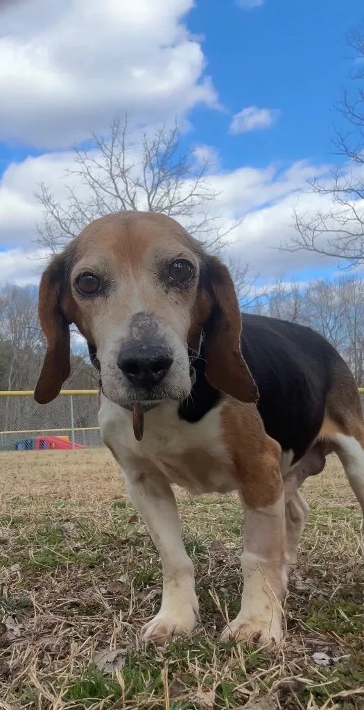 Geronimo thumbnail 2