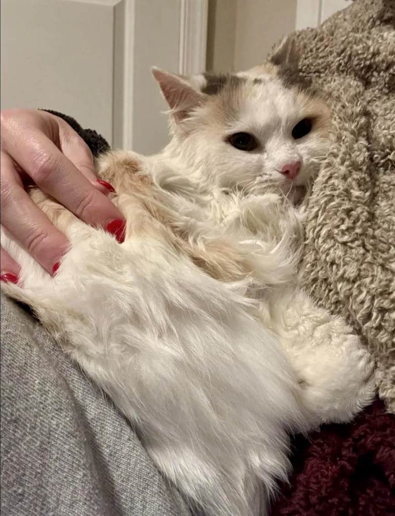 Calypso And Cleopatra thumbnail 2