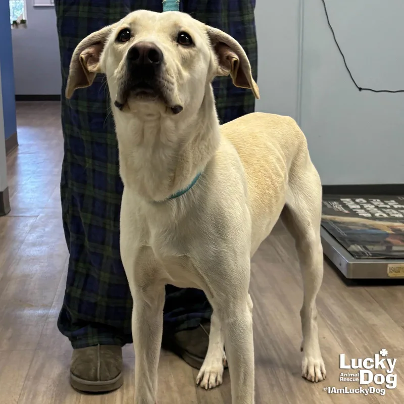 James Earl Bones thumbnail 2