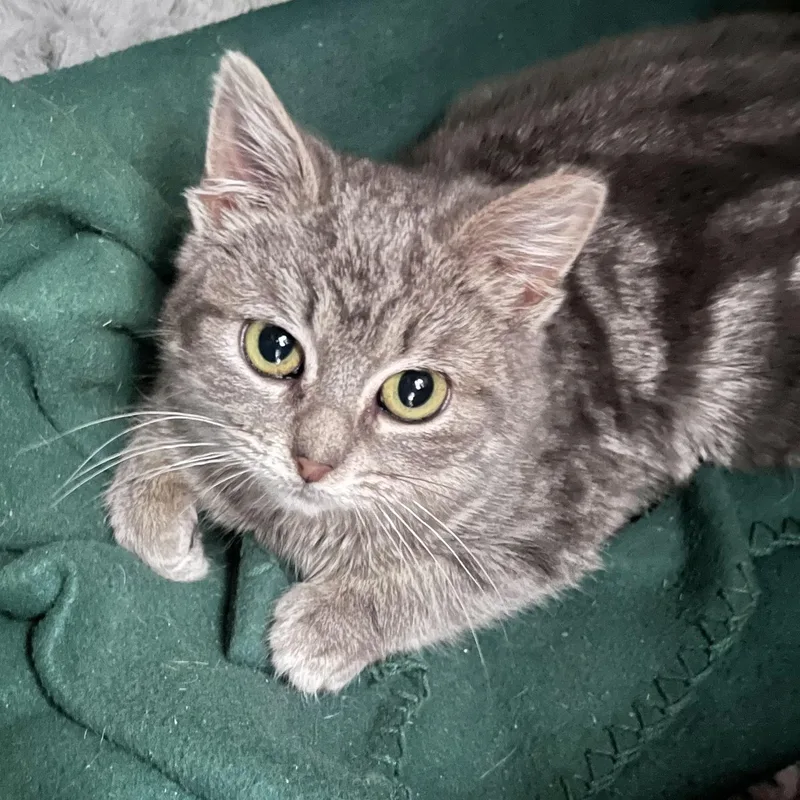 Frankie & Daisy thumbnail 5