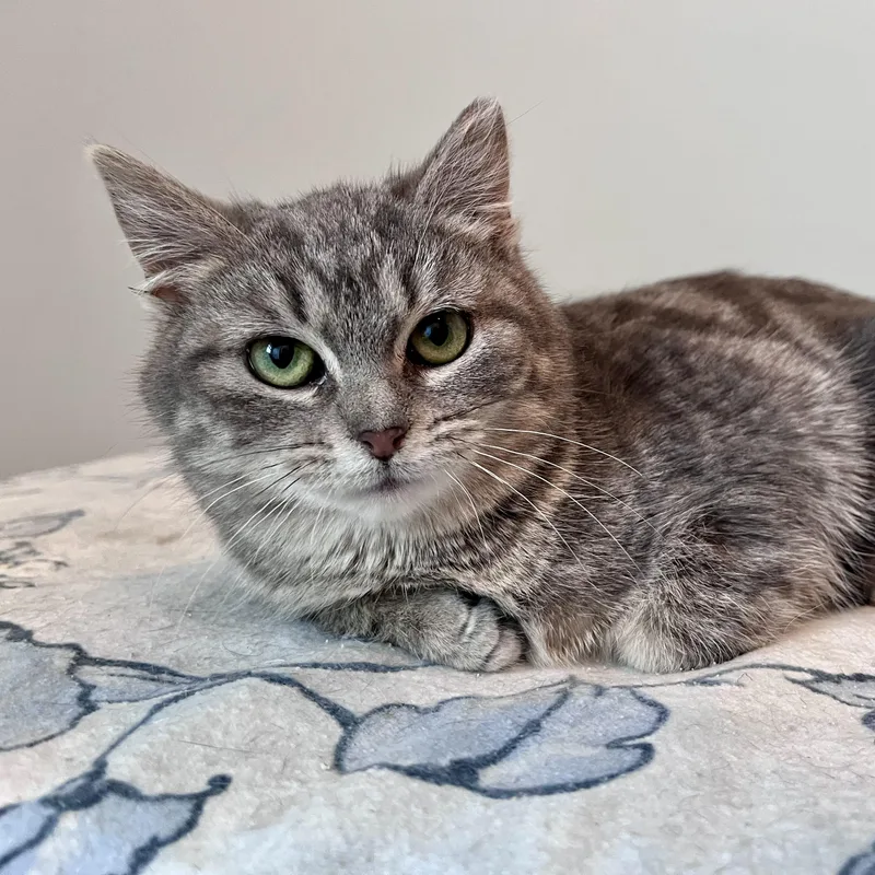 Frankie & Daisy thumbnail 6