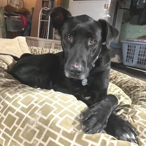 Better Than Burt Reynolds thumbnail 3