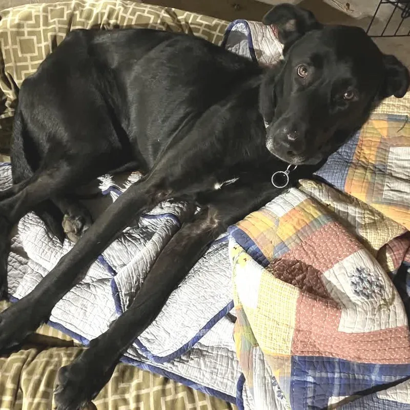 Better Than Burt Reynolds thumbnail 6