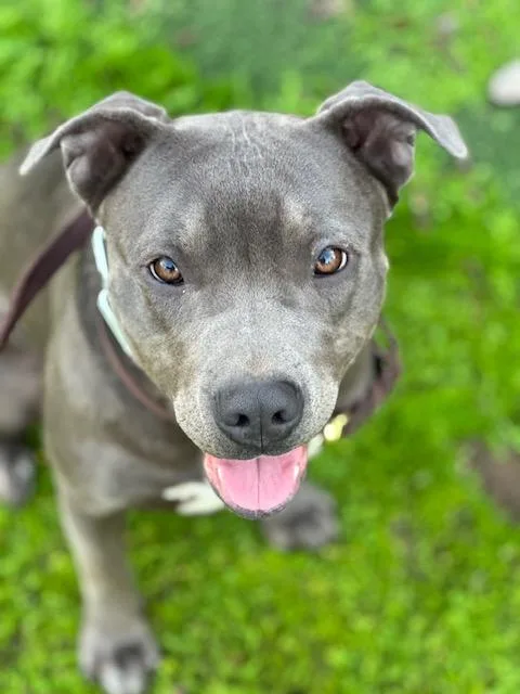 Brooklyn thumbnail 2