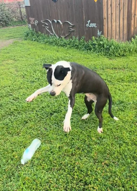 Magic Mike thumbnail 2