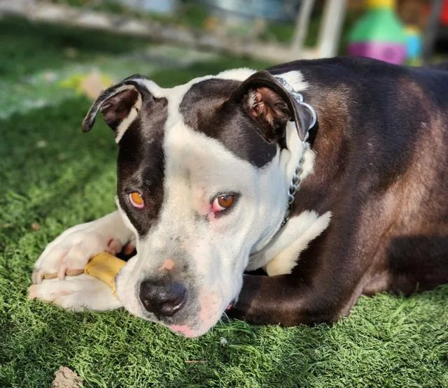 Magic Mike thumbnail 5