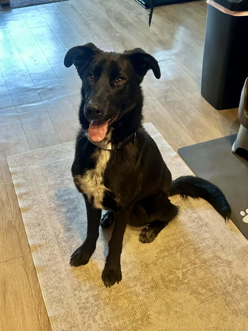 Mary Winchester thumbnail 3