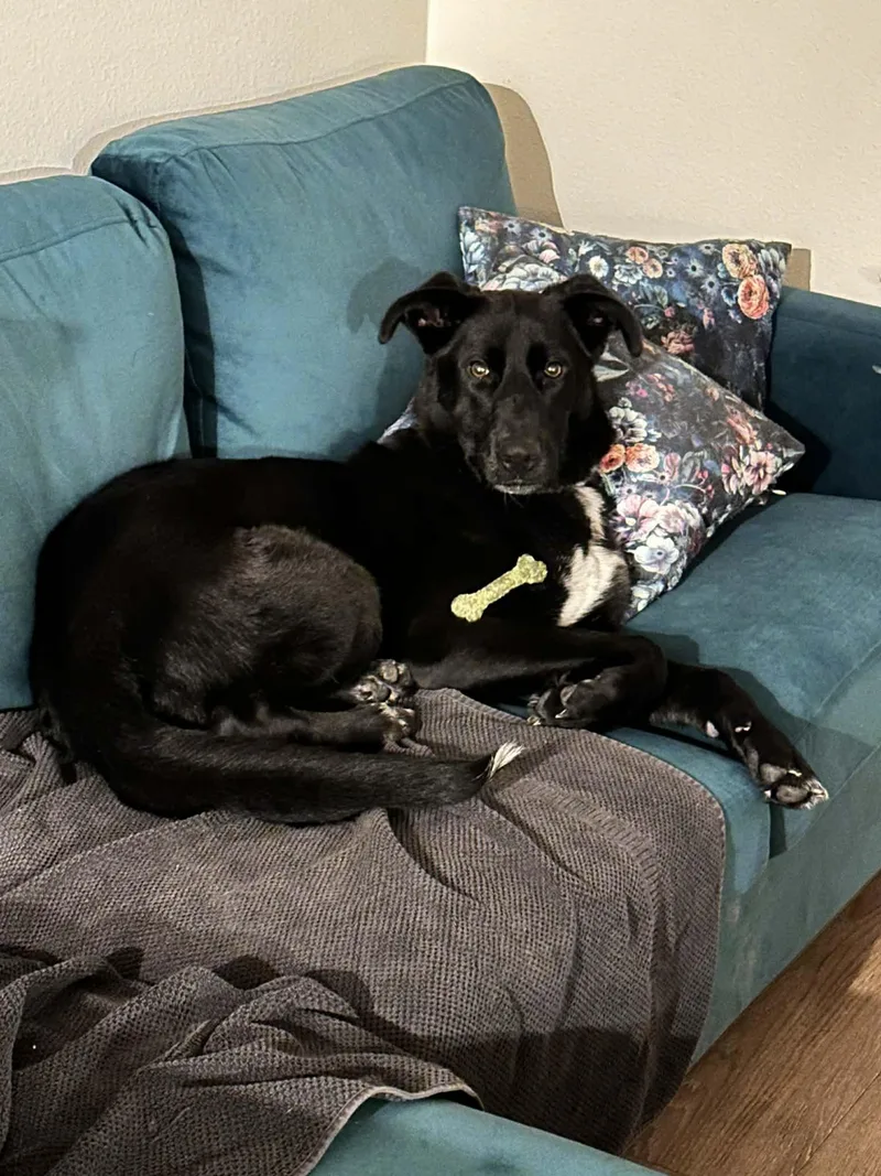 Mary Winchester thumbnail 4