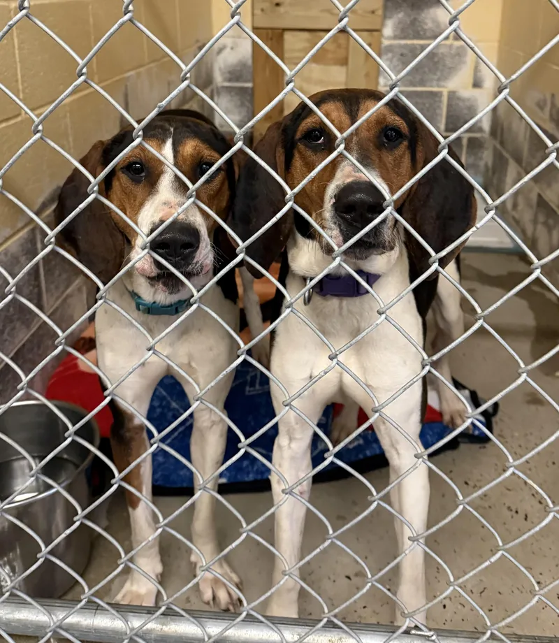 Ice Princess thumbnail 2